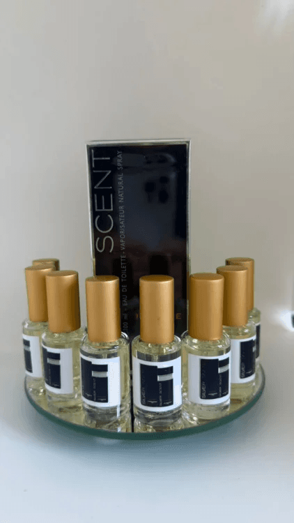 Decant 10ml - Silver Scent Intense