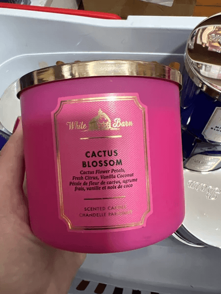Vela Cactus Blossom 3 Pavios 411g